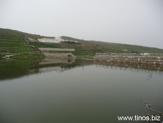 fragma_2010 022